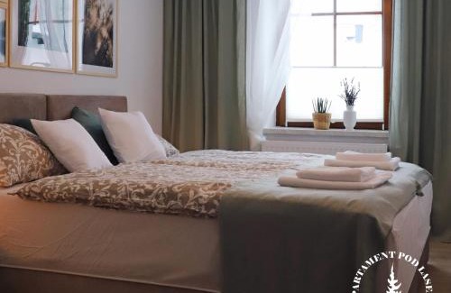 Jedlina-Zdroj Apartamento | APARTAMENT Pod Lasem Jedlina Zdrój