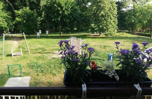 Lubniewice Apartamento | Apartament pod Morwą