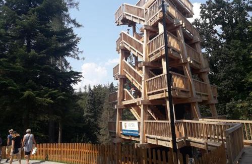 Głuchołazy Apartamento | Apartament Pod Tężnią