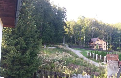 Busteni Apartamento | Apartament Potecuta Ursului