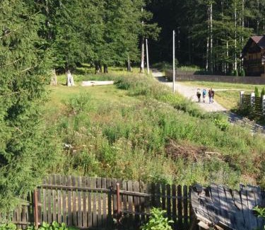 Busteni Apartamento | Apartament Potecuta Ursului