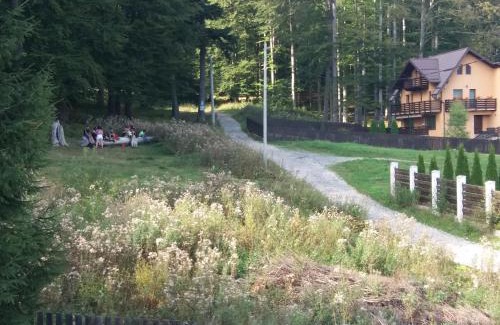 Busteni Apartamento | Apartament Potecuta Ursului