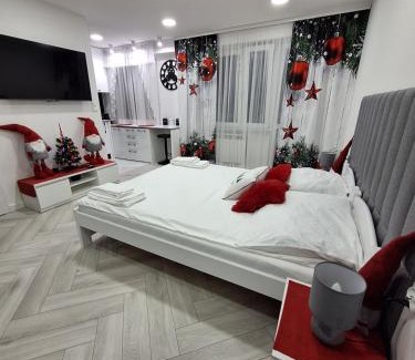 Tarnow Apartamento | Apartament Premium Tarnów
