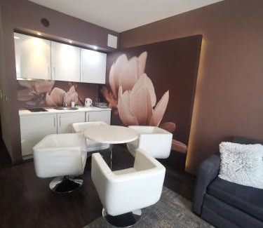 Dzielnica Uzdrowiskowa Apartamento | Apartament prywatny 2-pokojowy Diva Hotel