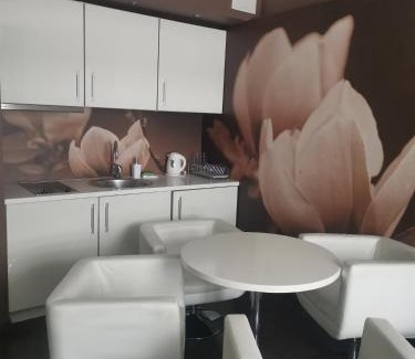 Dzielnica Uzdrowiskowa Apartamento | Apartament prywatny 2-pokojowy Diva Hotel