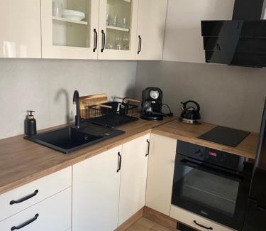 Zywiec Apartamento | Apartament przy Browarze