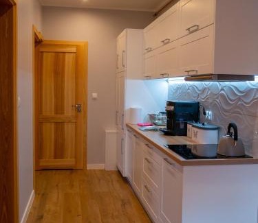 Wisla Apartamento | Apartament Przy Deptaku