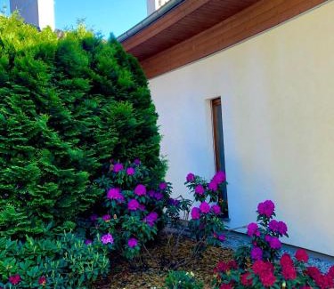 Wronki Apartamento | Apartament przy lesie