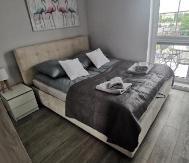 Olsztyn Apartamento | Apartament przy Lesie