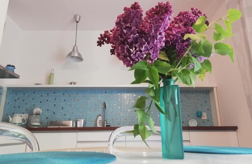 Bnin Apartamento | Apartament Przy Parku Kórnik