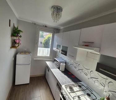 Elblag Apartamento | Apartament przy parku