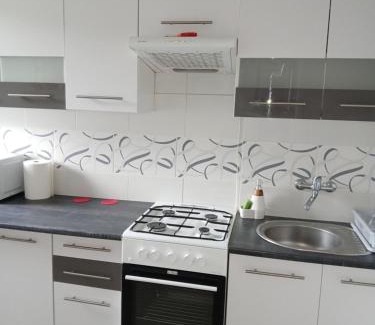 Elblag Apartamento | Apartament przy parku