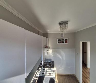 Elblag Apartamento | Apartament przy parku