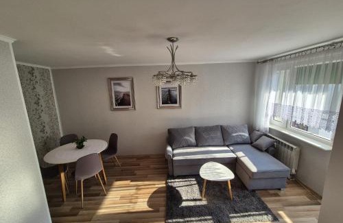 Elblag Apartamento | Apartament przy parku
