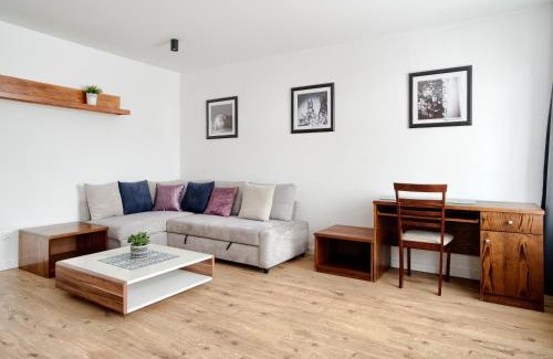 Chelmno Apartamento | APARTAMENT PRZY RYNKU II