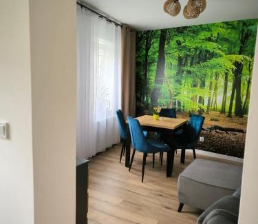 Radkow Apartamento | Apartament Przy Rynku w Radkowie