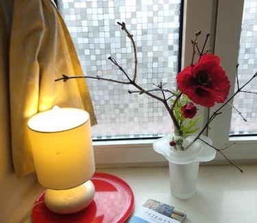 Przemysl Apartamento | Apartament przy synagodze