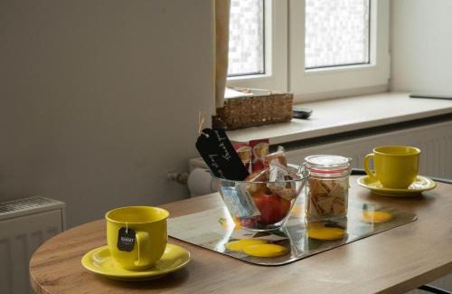 Przemysl Apartamento | Apartament przy synagodze