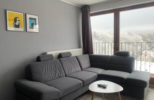 Zielona Gora Apartamento | Apartament Ptasia
