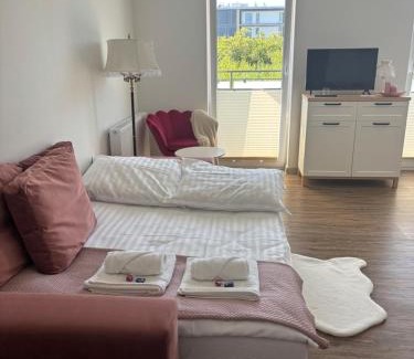 Busko-Zdroj Apartamento | Apartament Różany
