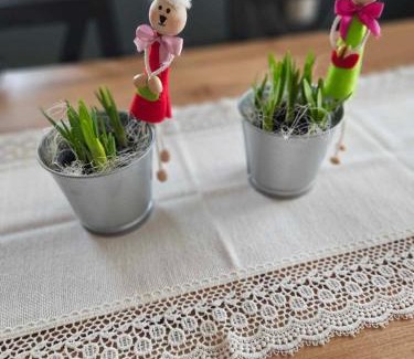 Szaflary Apartamento | Apartament Rabinówka