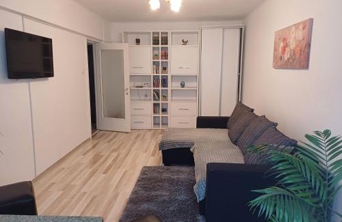 Centrul Vechi Apartamento | Apartament Racadau