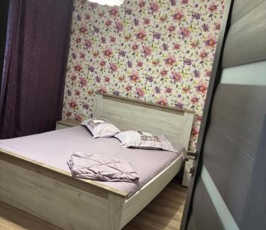 Calimanesti Apartamento | Apartament Radu