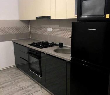 Calimanesti Apartamento | Apartament Radu