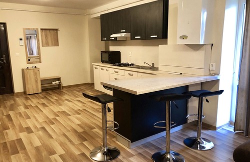 Satu Mare Apartamento | Apartamento regim hotelero