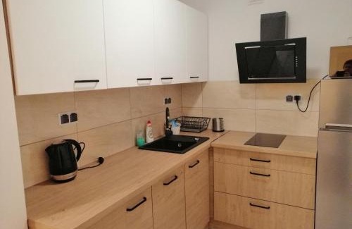 Łowicz Apartamento | Apartament Reymonta