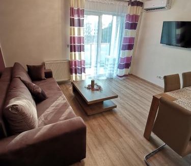 Psie Pole Apartamento | Apartament Reymonta