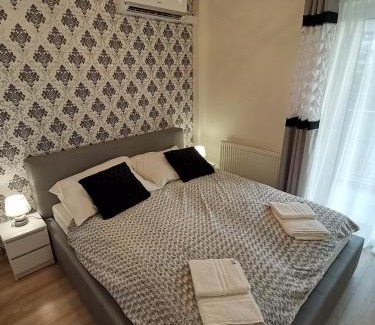 Psie Pole Apartamento | Apartament Reymonta