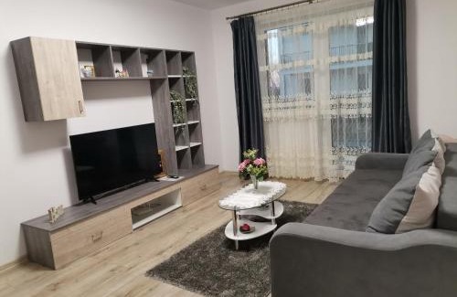 Sibiu Apartamento | Apartament Rubin