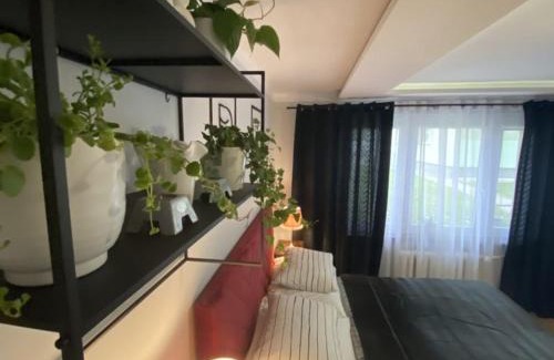 Bytom Apartamento | Apartament , Sen i Kawa' - komfortowy nocleg w sercu aglomeracji