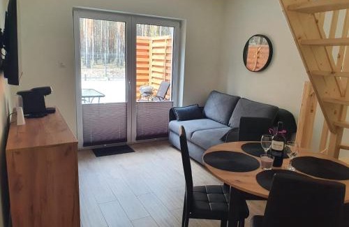 Konskie Apartamento | Apartament Sielpia DeLuxe 2