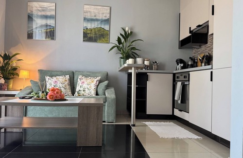 Bielsko-Biala Apartamento | Apartament Słoneczny 27 [VAT Invoice] with garage