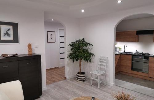 Sanok Apartamento | Apartament Sobieski