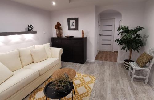 Sanok Apartamento | Apartament Sobieski