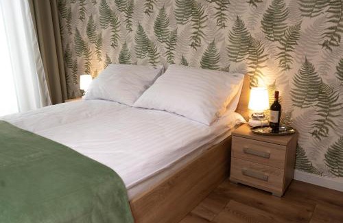 Szklarska Poreba Apartamento | Apartament Sommet Ostoja Parku Narodowego