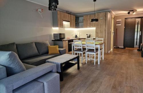 Skarszewy Apartamento | Apartament Sosny 2,1 nad jeziorem OTW Borówno Wielkie