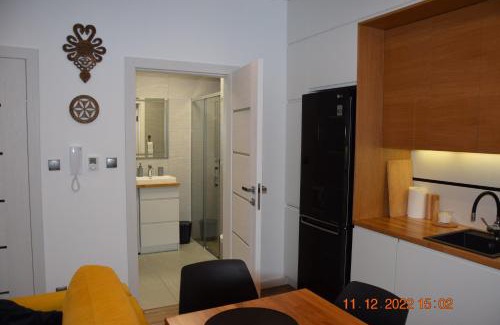 Wisla Apartamento | Apartament Spokojny