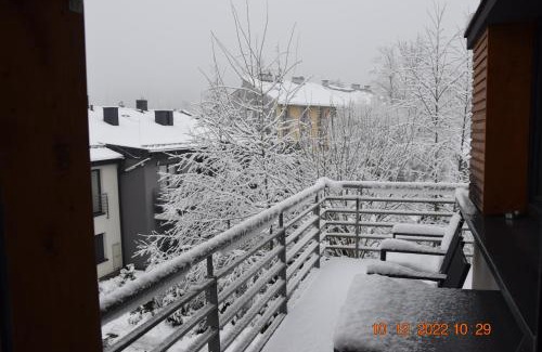 Wisla Apartamento | Apartament Spokojny