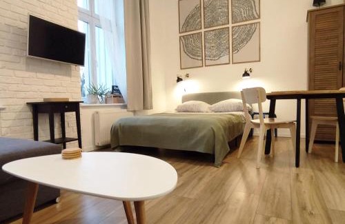 Torun Apartamento | Apartament "Stay with Us"