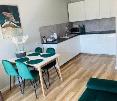 Gorzow Wielkopolski Apartamento | Apartament Stemar z dyżym baloknem