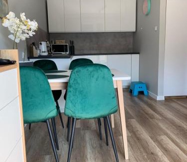Gorzow Wielkopolski Apartamento | Apartament Stemar z dyżym baloknem