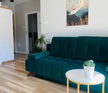 Gorzow Wielkopolski Apartamento | Apartament Stemar z dyżym baloknem