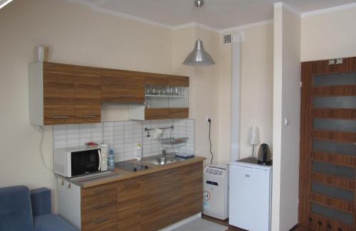 Gizycko Apartamento | Apartament Studio