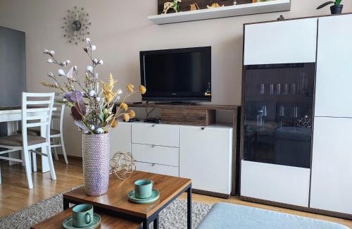 Rzeszow Apartamento | Apartament SYLVIA Self Check-In Netflix