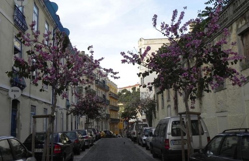 Socorro Apartamento | Apartament TO+1 dowtown Lisbon