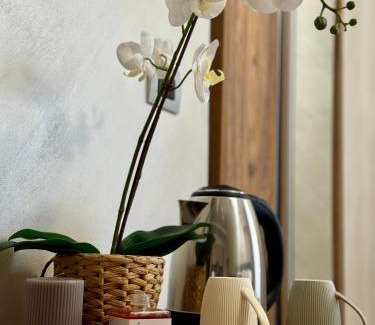 Vanchiglia Apartamento | APARTAMENT - Torino Home Living